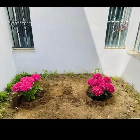 Belinda House Volos